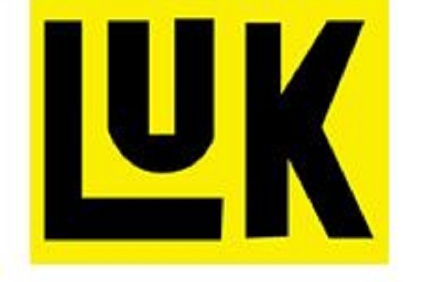 Cuscinetto Reggispinta LUK 500119910