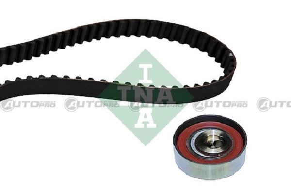 Kit Distribuzione INA 530046210