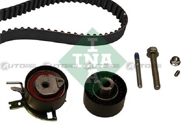 Kit Distribuzione INA 530048910